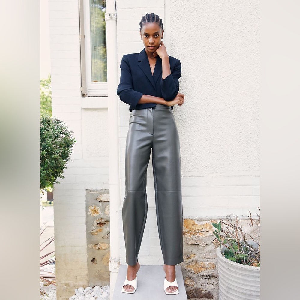 Aritzia Wilfred Bica pants